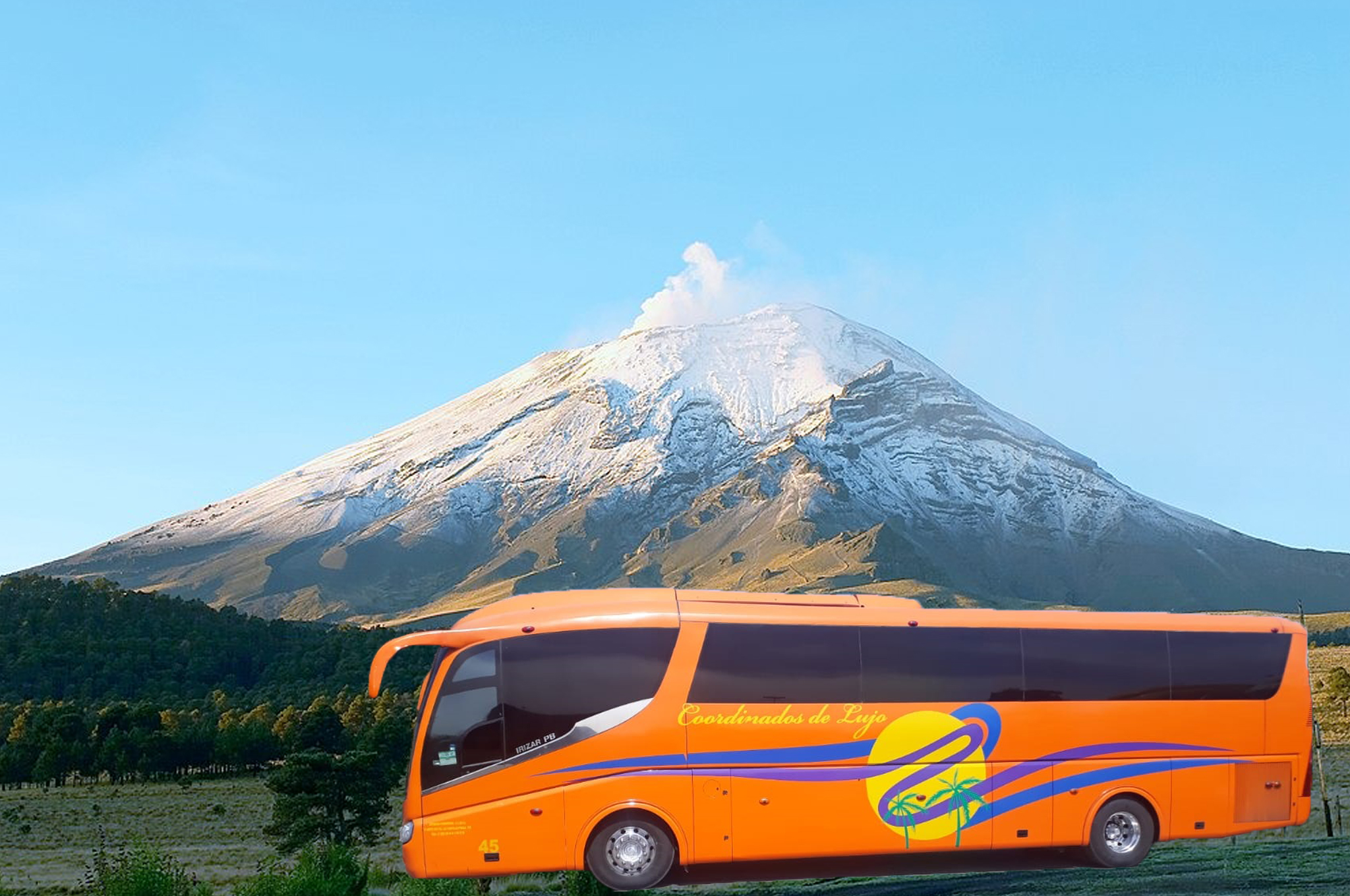 bus portada5